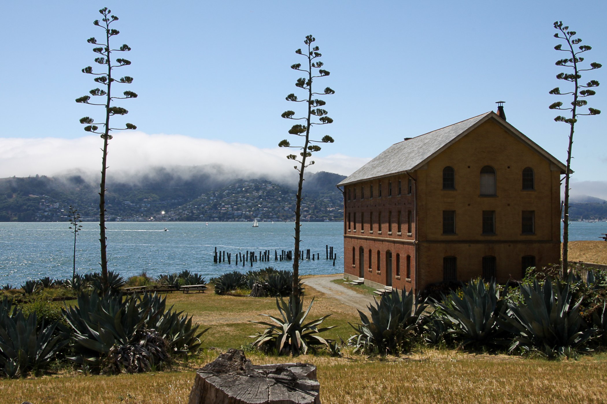 Angel Island: The Bay’s Hidden Gem